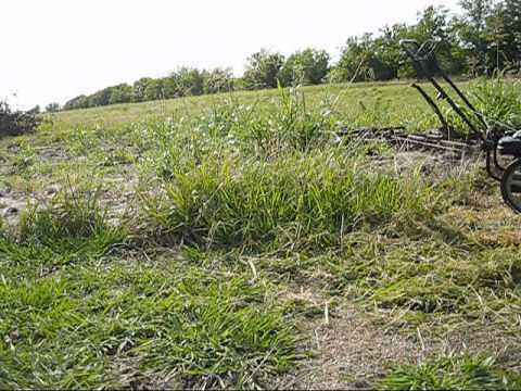 Cutting Tall Grass with the Craftsman Walk-Behind String Trimmer