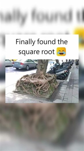 perfect sqaure root ✅ #meme