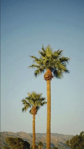 Arizona Inn – Tucson, as it’s meant to be remembered | Historic Hotel in Tucson AZ