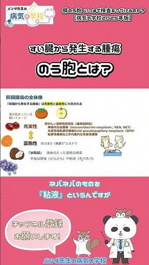 すい臓から発生する腫瘍 『のう胞とは？』