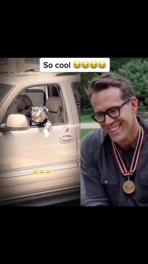 So cool 😘😘. So cute 😍😍. #ryanreynolds #humor #funny #usa