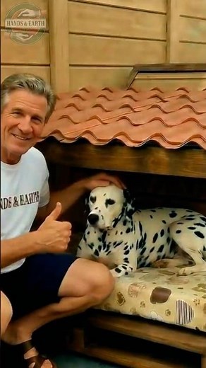 Don't Throw Away Old Pallets! 🪵 Genius DIY Dog Porch Idea #upcycling #diy #doghouse