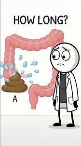 How Long Can You Actually Go Without Pooping?