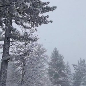 728K views · 5.3K reactions | Heavy rain transformed California deserts into raging waters yesterday. Flash floods warranted the rescue of more than a dozen people. More videos: https://youtu.be/FiLELNnv738 | WeatherNation | Facebook