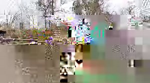 28K views · 378 reactions | Mud-Skipper’s Custom 7hp long tail mud...