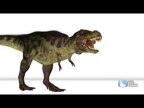 Science Trek: Dinosaurs: Eating and Eggs