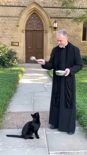 Holy water vs possessed cat 😼💧🔥 #FunnyVideo #CatComedy #HolyWater #PossessedCat #PriestLife #ViralVideo #CatMeme #FunnyAnimals #CrazyCat #FacebookLaughs #MemeLife #CatVsPriest #BlessedAndCursed | Digital realities