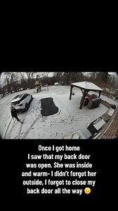 Today started with a two hour delay and what I thought was a blessing kinda just threw my entire day off. I have felt so out of it lately and couldn’t shake that I forgot something as I was taking my son to school. I kept thinking my dog was outside, but I knew I put her in. I thought I would check the ring camera to ease my mind. I could not believe it when I saw Rosie outside by herself in the freezing cold. I felt so horrible and was so worried about her. I got every red light rushing home an