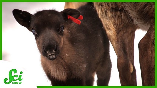 5 things we can learn from Alaska