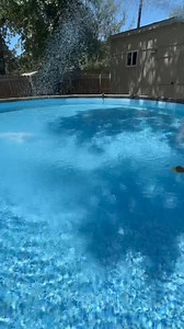 2.3K views | Pool Maintenance 101 #creatorsearchinsights #swimmingpoolhacks #cleaningswimmingpool #pool #swimmingpool #pools | Mastering Mayhem | Facebook