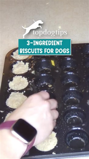 🍪🐾 The best kind of biscuits? The homemade kind! 💛 These dog biscuits are crunchy, healthy, and easy to make—perfect for rewarding your furry best friend. 🐶✨ Wholesome ingredients, big flavor, endless tail wags! 🍽️ Watch now grab the full recipe here: https://topdogtips.com/best-homemade-dog-biscuits-recipe/ #BestDogBiscuits #HomemadeDogTreats #HealthyDogSnacks #DogMomLife #DogDadLife #TopDogTips | Top Dog Tips