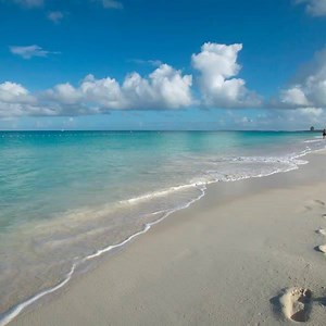 56K views · 1.6K reactions | Turquoise water and white sand - the...