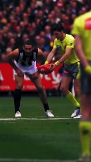 AFL Hub on TikTok