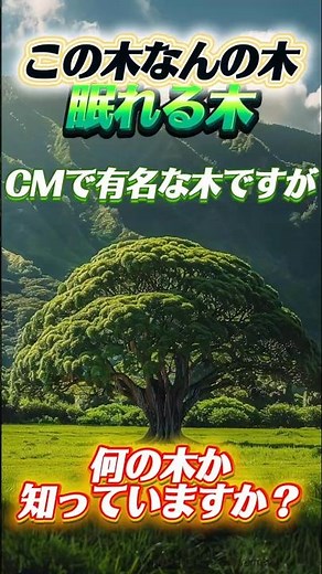 日立の樹の正体…「眠る木」 #雑学 #豆知識