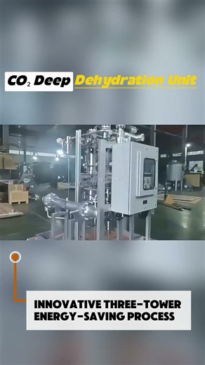 CO₂ Deep Dehydration Unit for Industrial Gas Processing | Hangzhou Linuo Manufacturer