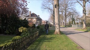 1.1K views · 36 reactions | This is Rick after just a few weeks of training. Rick is now 9 months old and was trained before for detecion work. A couple of weeks ago with did start to train him for tracking. We first start to train Rick to indicate an article and when that was trained well we did start with backchaining. In this video you see Rick's training progress after a few weeks of training. | Dog Training Dick Staal | Facebook