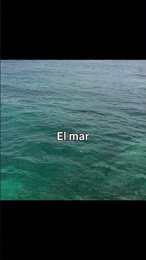 🇪🇸Spanish vocabulary: la playa #learnspanish #spanishforbeginners #spanishvocabulary #spanish