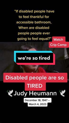 Disability Rights: Advocating for Equal Access