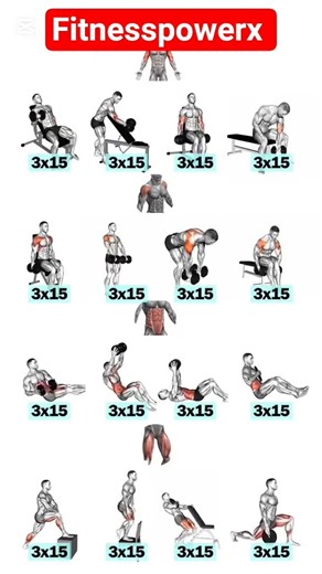 Full Body Workout for Strength & Muscle Growth 💪🔥