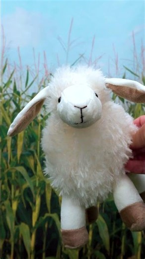 Blippi Encontra Ovelhinhas Aqui na Fazenda do Seu Lobato! 🚜🐑 #shorts #blippi #animais