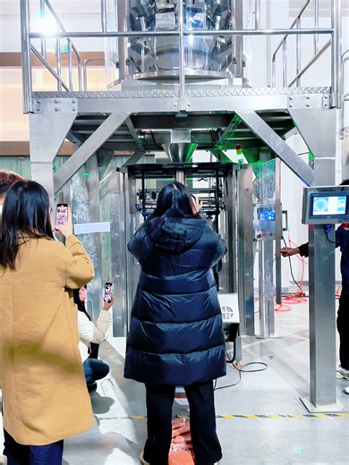 Automatic Vertical Form Fill Seal Machine for Grains