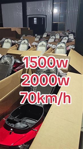 Wholesale Electric Bicycles with Custom Logos