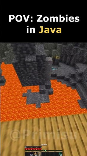 POV: Java VS Bedrock Zombie
