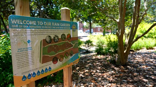 What is a rain garden? Find out how they prevent erosion, filter pollutants and reduce runoff