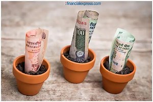 Senior Citizens Savings Scheme: Looking for a safe retirement option? Here is all you need to know about SCSS