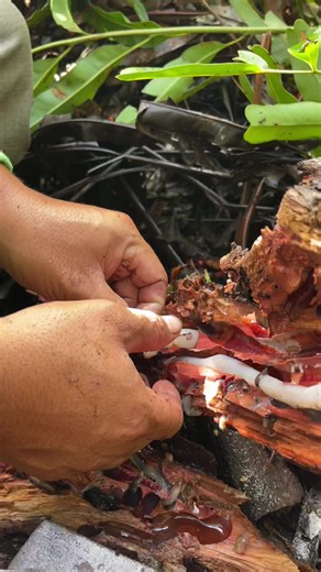 Code Muses (@code.muses)’s videos with original sound - Code Muses