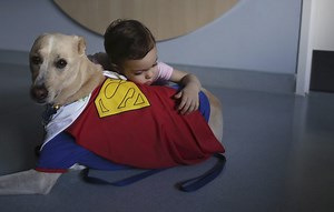 Meet the ‘courtroom dogs’ who help child crime victims tell their stories