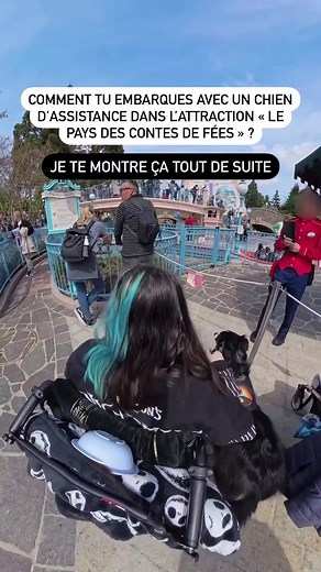 Embarquer un chien d’assistance dans Le Pays des Contes de Fées - Disneyland Paris