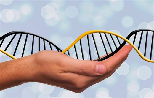 Genes Impact Environmental Sensitivity, Influencing Mental Health Risk | Genetics And Genomics