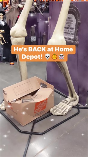 35K views · 208 reactions | Home Depot JUST dropped their full Halloween line, including this SUPER popular GIANT skeleton! He sells out FAST, so don’t wait!  #homedepot #skeleton #halloween #Halloweendecor #homedecor #hip2save Here's a link to shop all the Halloween home decor that just dropped!  - https://hip2save.com/deals/home-depot-halloween/ | Hip2Save | Facebook