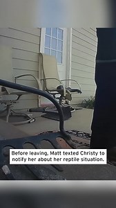 FedEx driver saves family from rattlesnake 🐍🚚🏠 #camera #stories #dailynews #usa #us #police #viral | Best Show LosAngeles