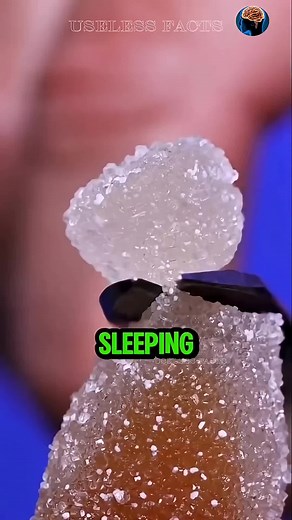 Did You Know Stupid Facts: Funny Useless Fact About Beds
