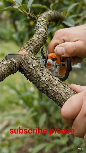 Tiny Chainsaw Cutting Tree Branch | Satisfying Mini Wood Cutting