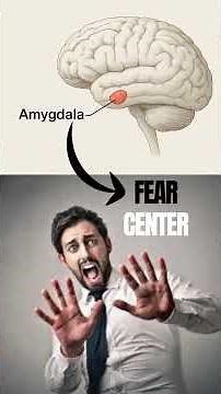 Why Your Brain Makes You Anxious About the Future (and How to Fix It!) 💡