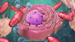 3D动画直观演示细胞的结构，带你进入神奇的细胞微观世界