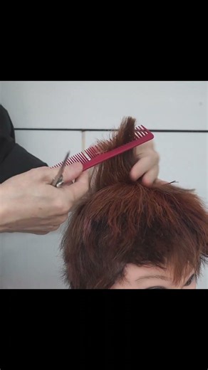 How to Use Scissors Without Getting Hair Clippings All Over Your Client #Haircut #cat #Hairstylist