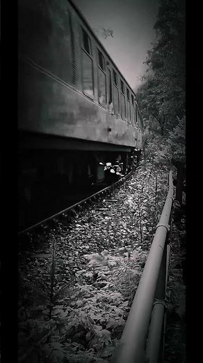 The Jacobite Steam Train is a world-famous heritage railway service in Scotland.