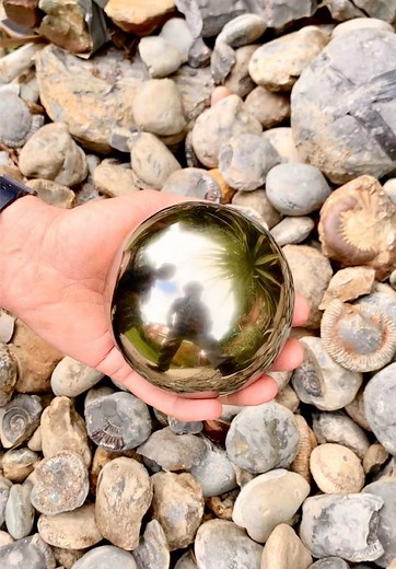 Discovering Ancient Fossils on the Jurassic Coast