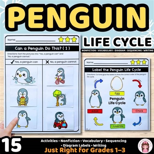 Penguin Life Cycle Worksheets (Grades 1–3) | Science, Sequencing & Writing