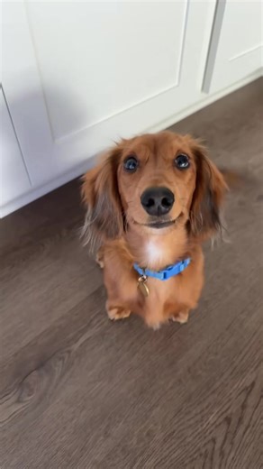 Celebrate the Smirk: Embracing Joy and Confidence