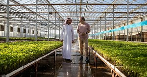 saudi arabia's desert city NEOM will grow its own crops inside dutch greenhouses