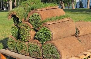 Atlanta GA Sod Supplier | Buford Sod for Lawn Near Me | Norcross