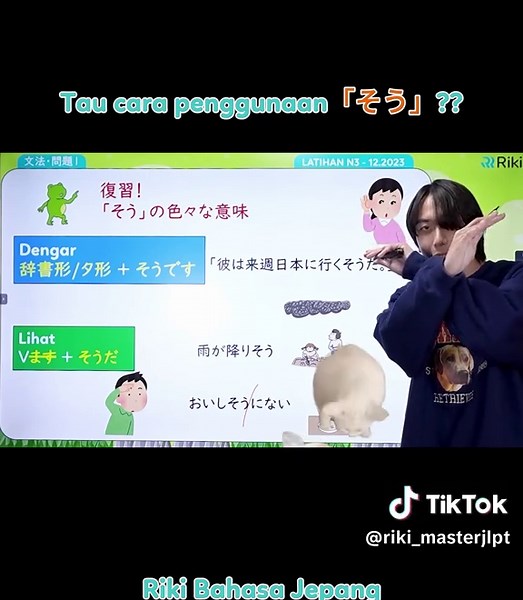 Tau cara penggunaan そう #japanese #japaneselanguage #learnontiktok #jlptn3 #rikimasterjlpt