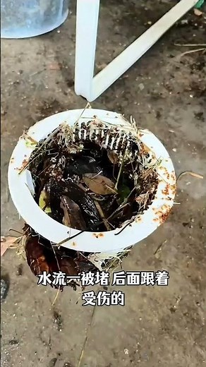 Skimmer Basket Exploded from Neglect? This Pool Nearly Lost Its Pump! 😱💥 #swimmingpool #pool