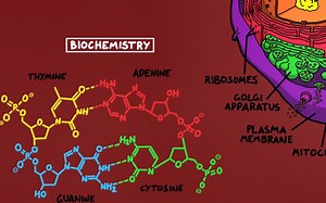 生物学简史——帮你快速梳理生物学知识的脉络