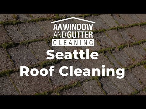 Seattle Roof Cleaning Service and Roof Moss Removal - AA Window & Gutter Cleaning